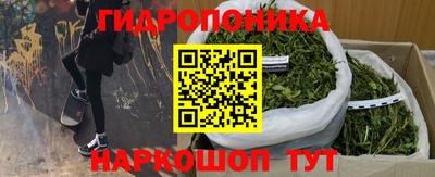 ГАЛЛЮЦИНОГЕННЫЕ ГРИБЫ Конаково